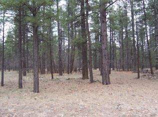 3600 E Pine Top Dr, Williams, AZ 86046