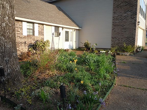 2nd image of 125 Mockingbird St