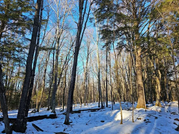 Wallace Rd, Mercer, WI 54547