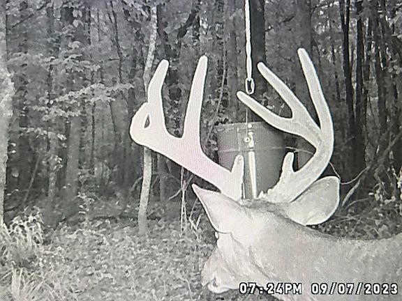 42nd image of this home