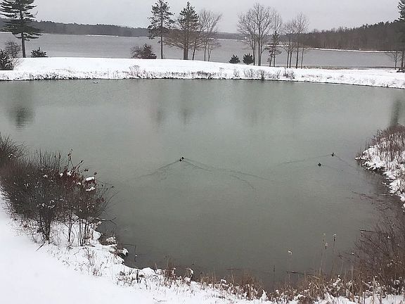 View from dining area