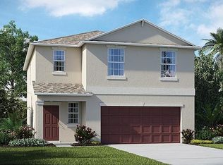 10116 Golden Wonder, Riverview, FL 33578