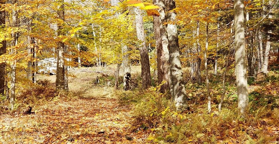 2nd image of Browns Rd