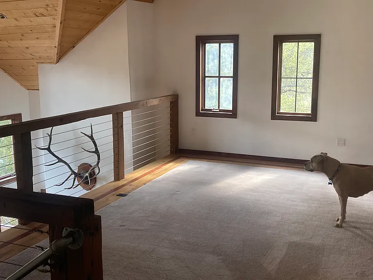48 Meadows Dr — Photo 8