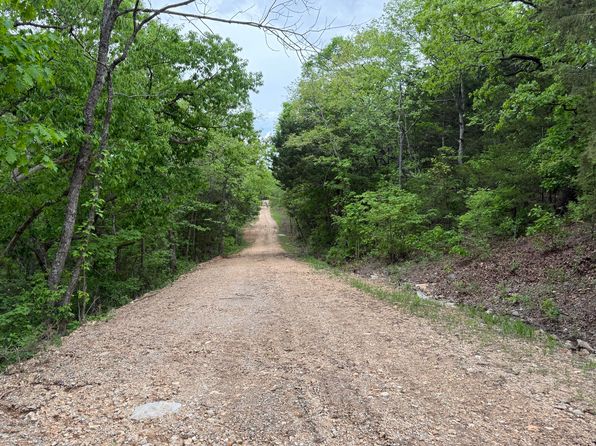 301 Oakview Drive, Ridgedale, MO 65739
