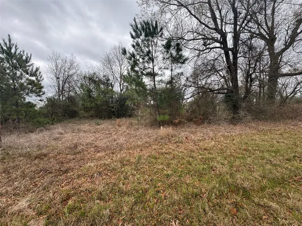 Fm 980 Rd S, Pointblank, TX 77364