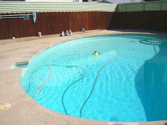 Great Pool, Low Yard Maintenance!
