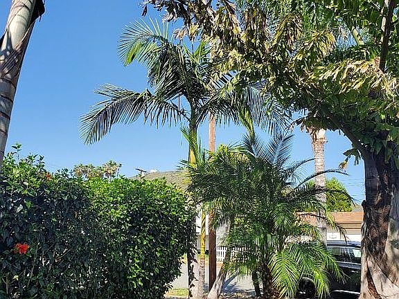 4th image of 1760 Plumeria Dr