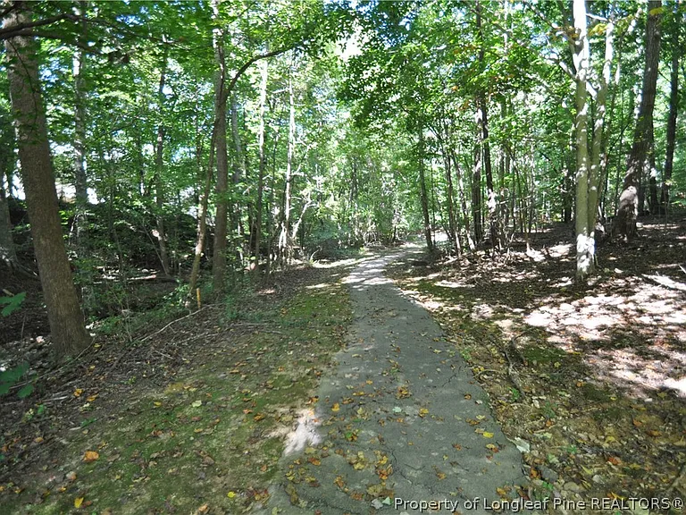 240 Beechtree Dr — Photo 28