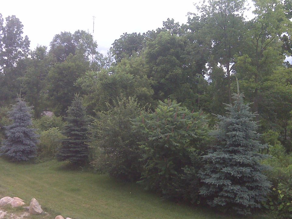 226 W Elm St Mason MI Zillow