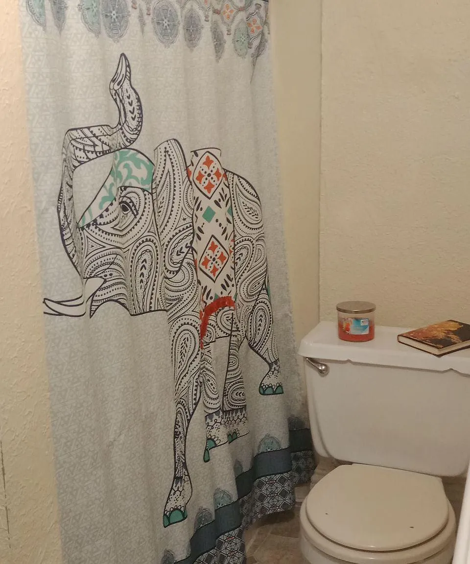 2 bed, 800 sqft, $650 — Photo 2