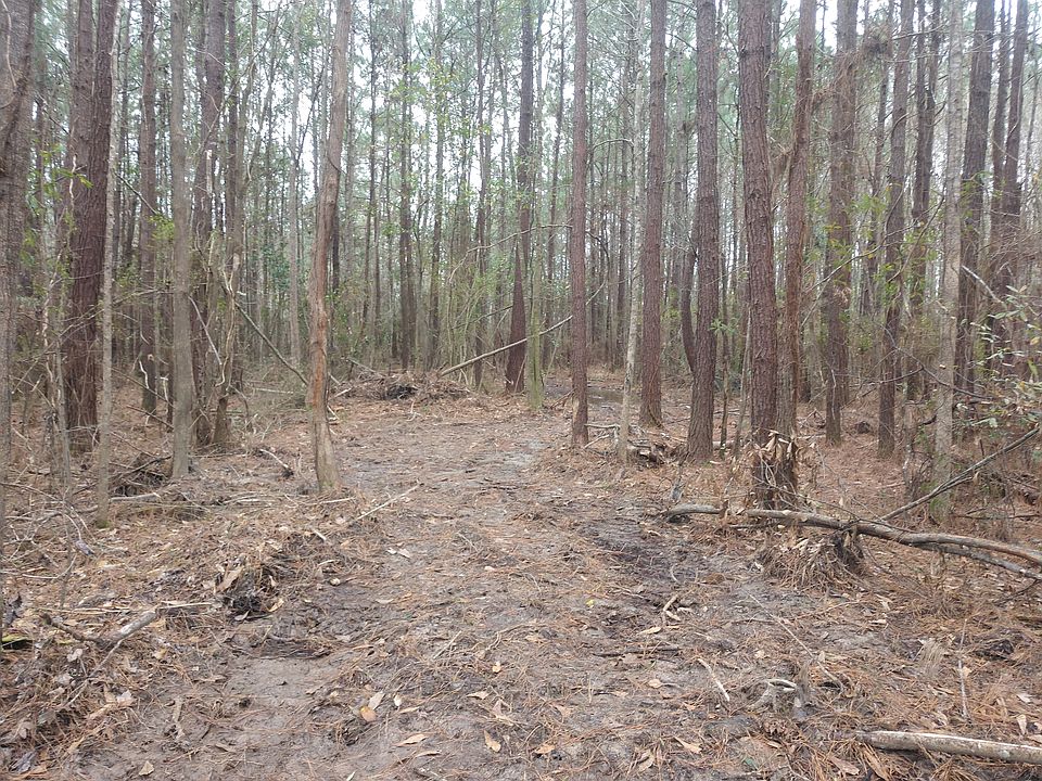 2nd image of 0 Bailey Loop Rd