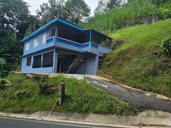 Bo, Morovis, PR 00687