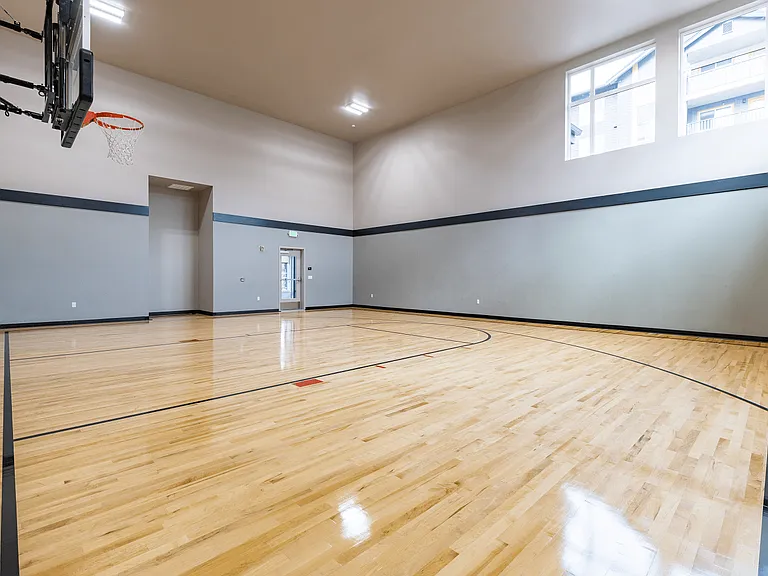 Basketball Court