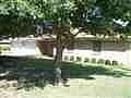 1st image of 416 S Pecan St