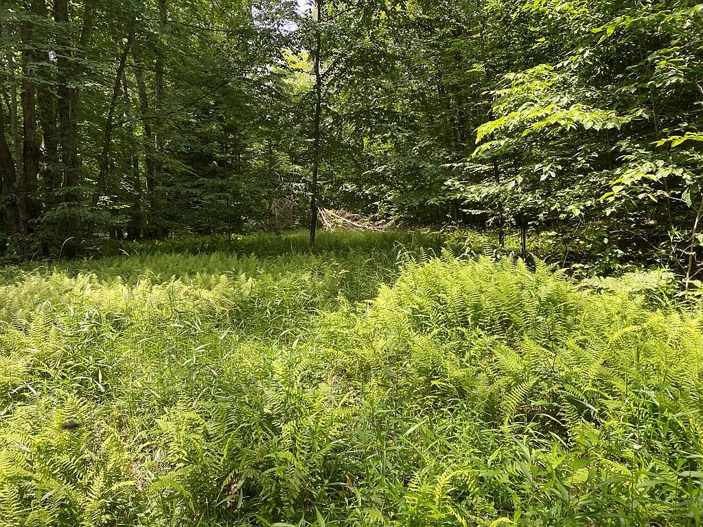 Byromtown Rd, Marienville, PA 16239 MLS 158099 Zillow