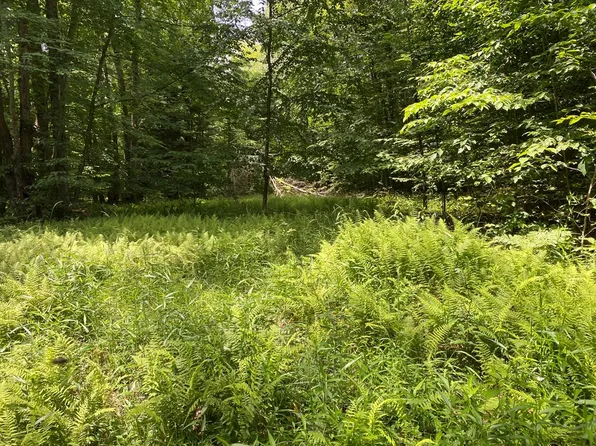 Byromtown Rd, Marienville, PA 16239