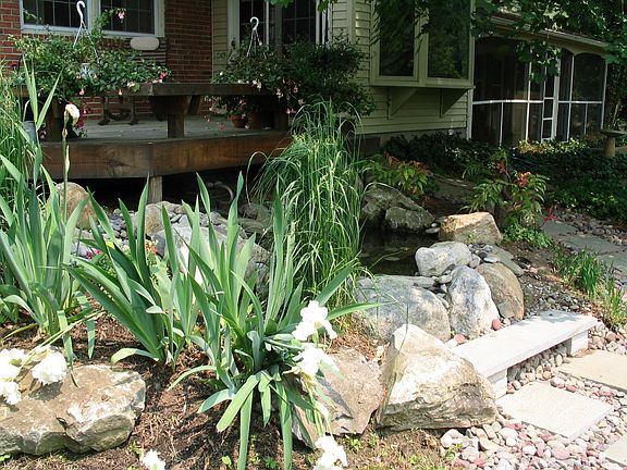 Pond in spring