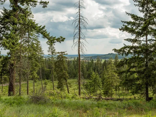 645 Juanita Ln, Elk, WA 99009