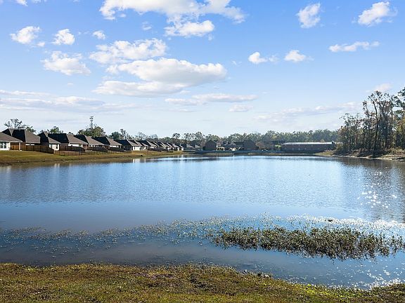 Beautiful Lakeview backyard