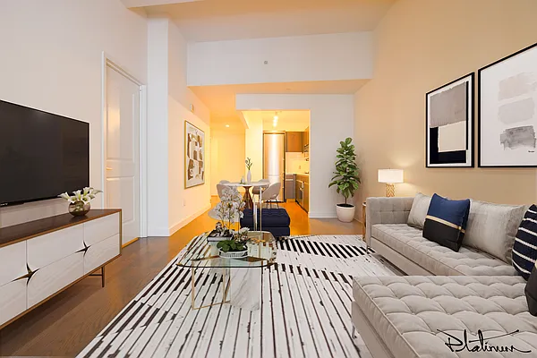 Rented by Platinum Properties | media 2