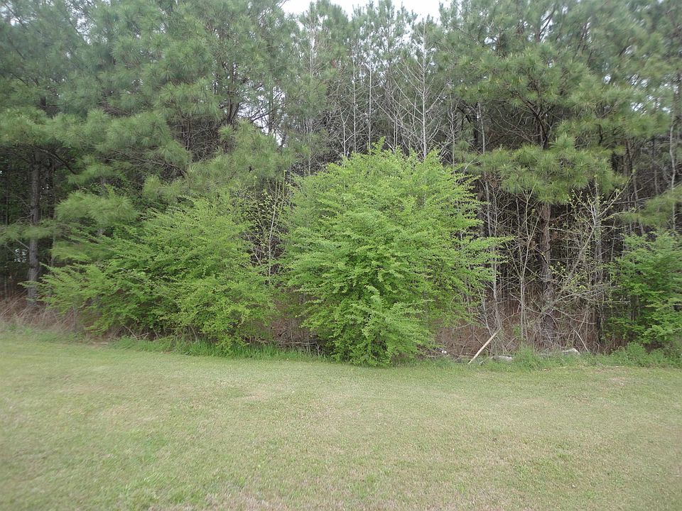 2nd image of 0 3rd St