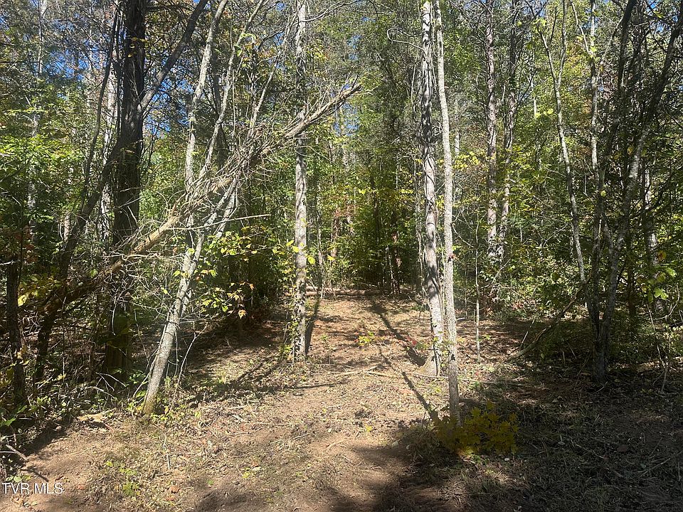 2nd image of LOT 1 Butcher Valley Rd