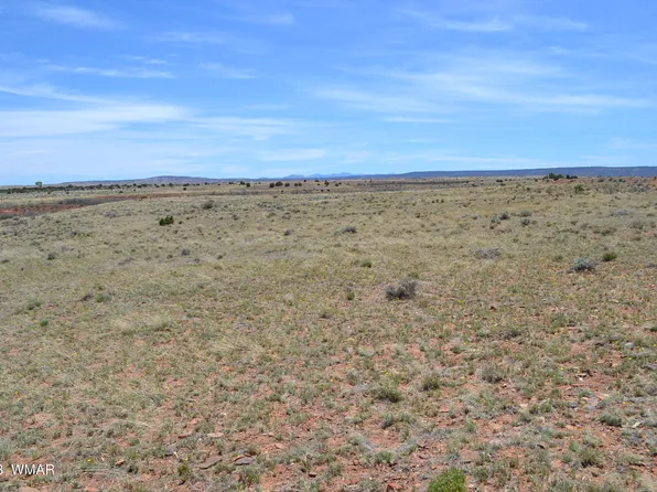 LOT 5500 166, Concho, AZ 85924