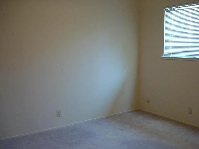 5402 Mona Way — Photo 8