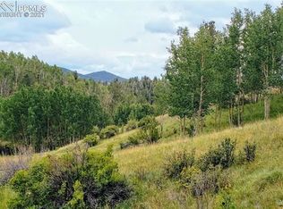 1864 Golden Cycle Cir, Cripple Creek, CO 80813