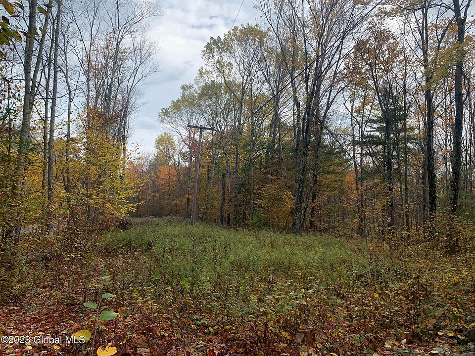Lot 2 Clickman Road, Westerlo, NY 12193 MLS 202315719 Zillow