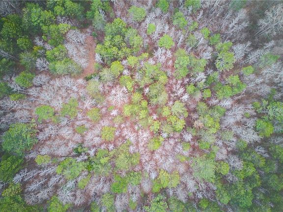 3rd image of 0 Sunshine Rd #10-13