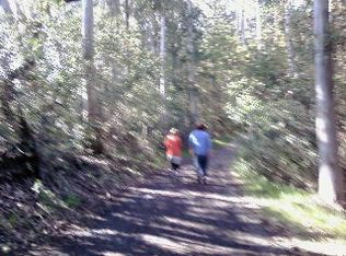 340 Spring Hill Rd, Sharon, NH 03458