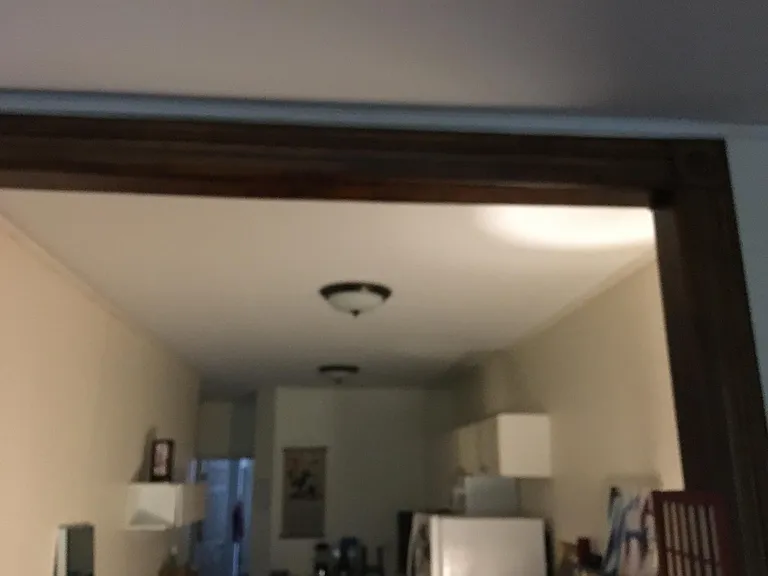 103 Magnolia Ave #2R — Photo 3