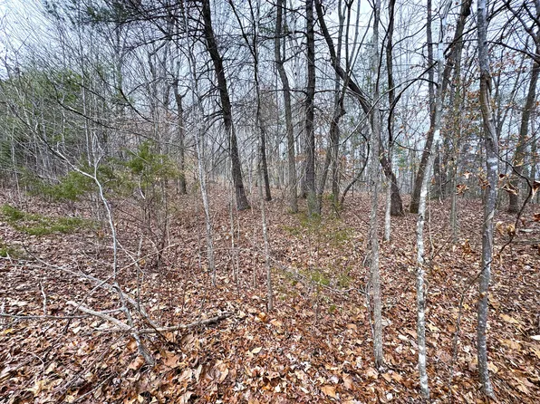 45 Zuni Way, Del Rio, TN 37727