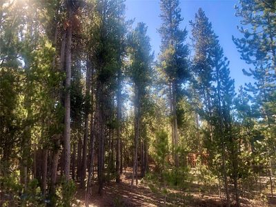 520 Gallatin Ave, West Yellowstone, MT, 59758