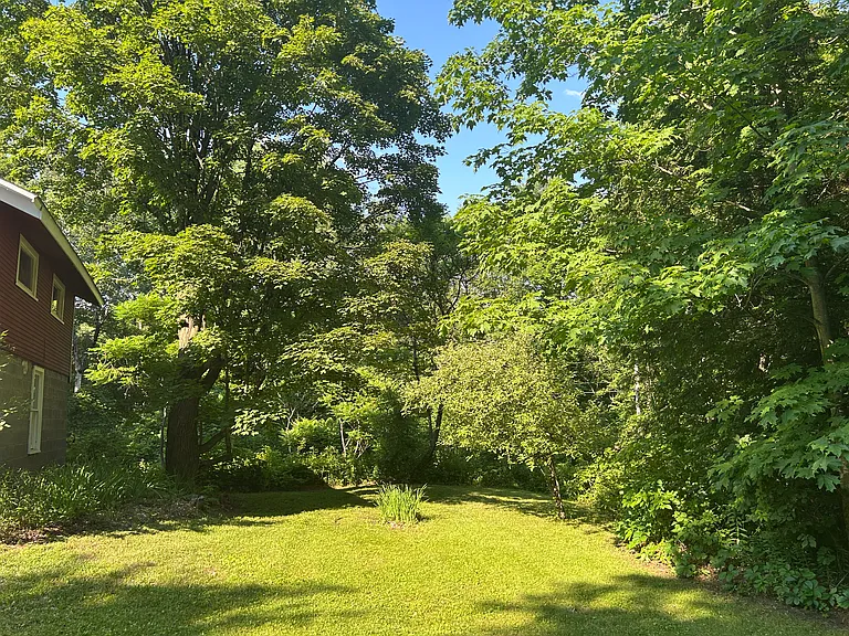 Side yard