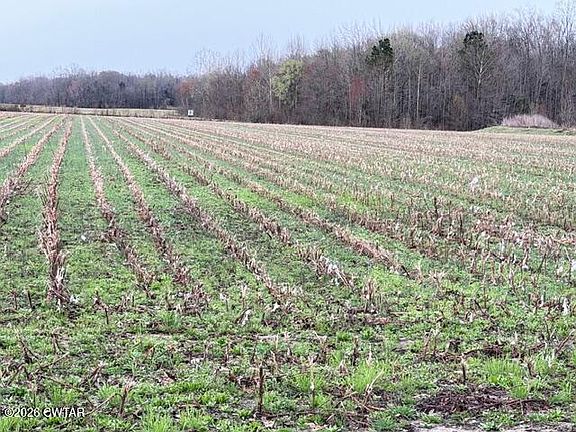 4th image of 0 Strayleaf Rd