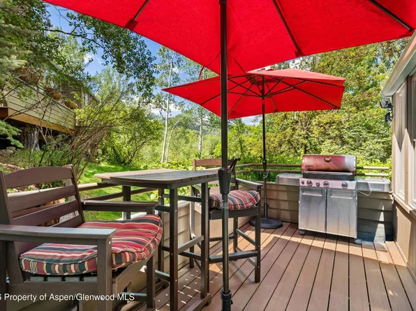 100 N 8th St Unit 19, Aspen, CO 81611