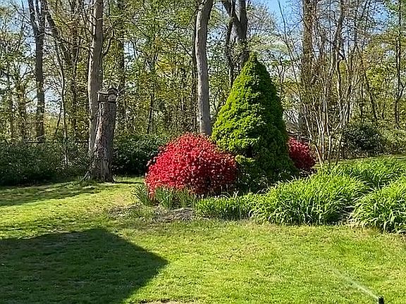3rd image of 49 Buttonwood Dr