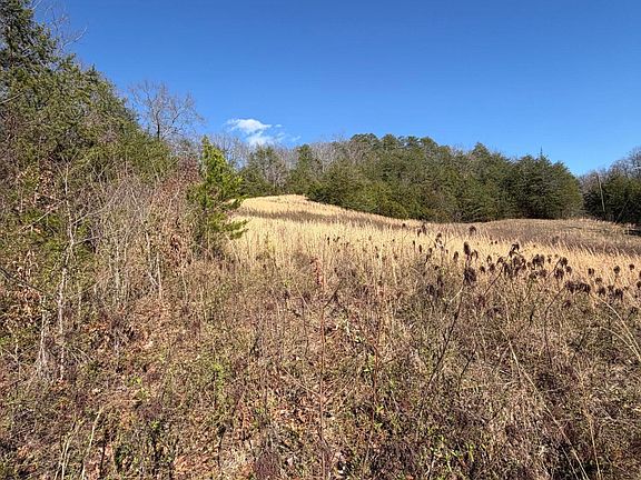 2nd image of Shanks Gap Rd