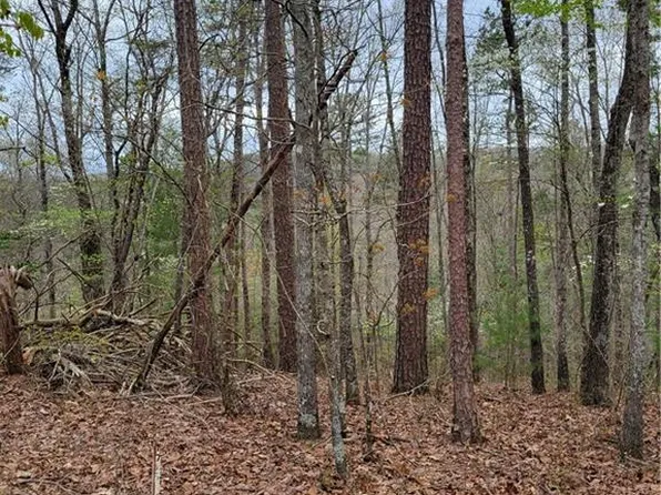 17 Rebekkah Rdg #1717, Talking Rock, GA 30175