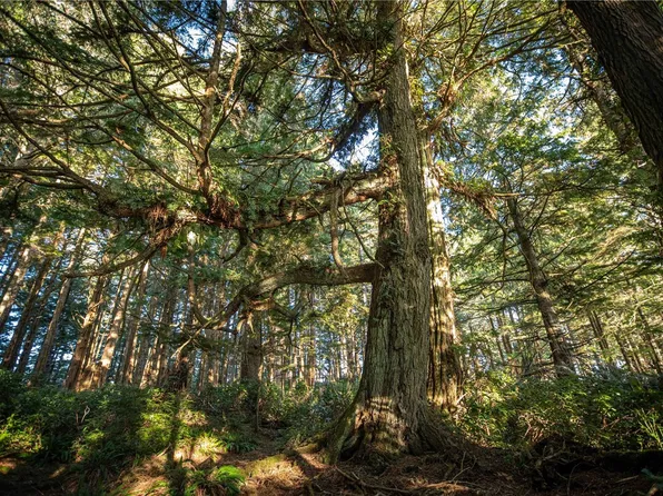 0 Francis Is, Ucluelet, BC V0R 3A0