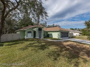 1035 Hallcrest Ave, Spring Hill, FL 34608