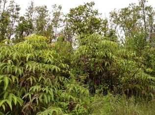 11 3301st #57, Volcano, HI 96785