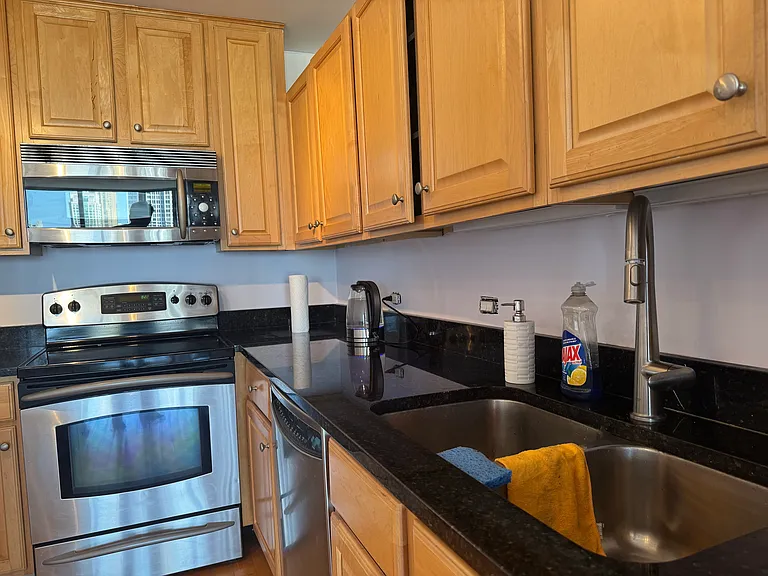 405 N Wabash Ave #4711 — Photo 19