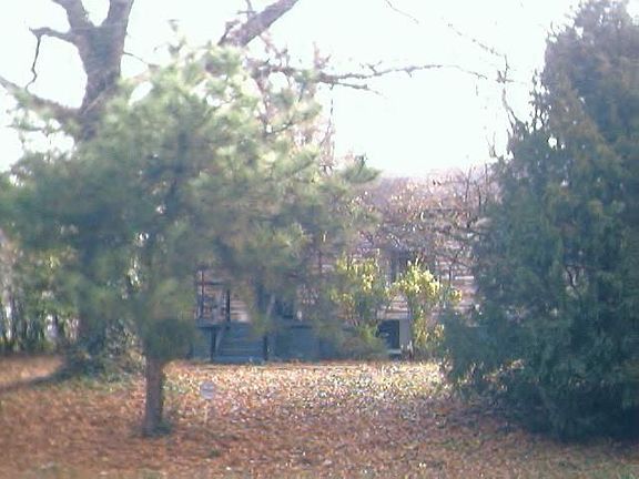 Tree shaded front yard