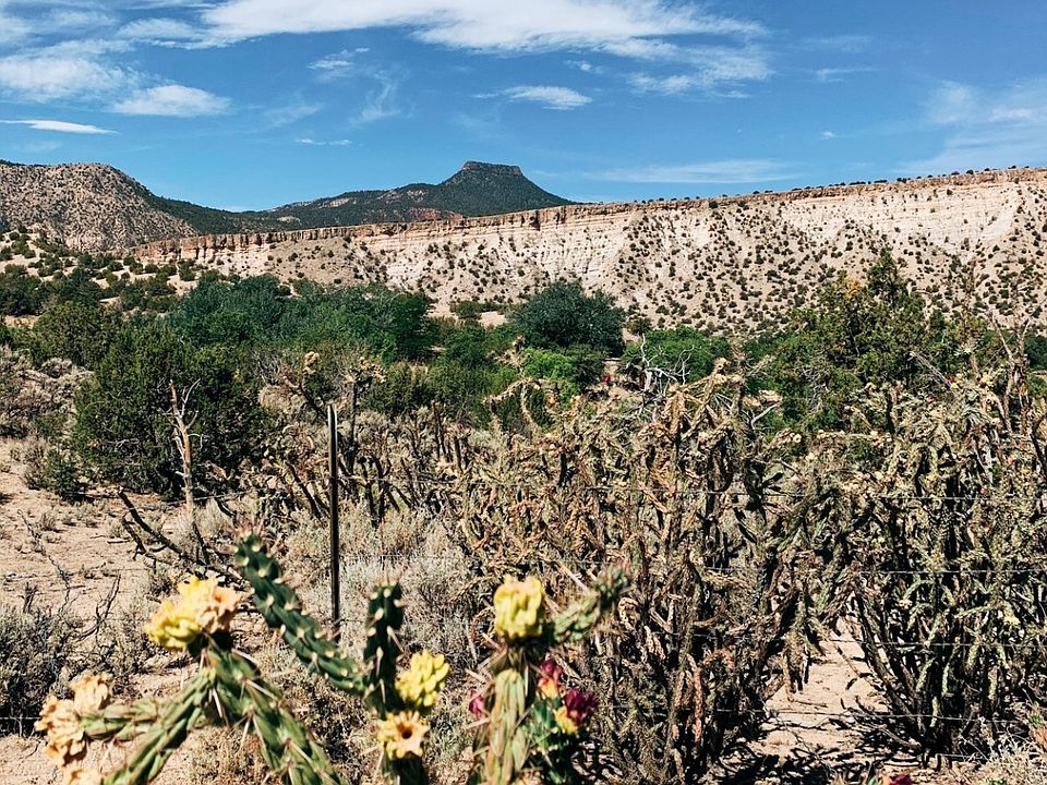 206 County Road 193, Canones, NM 87516 Zillow