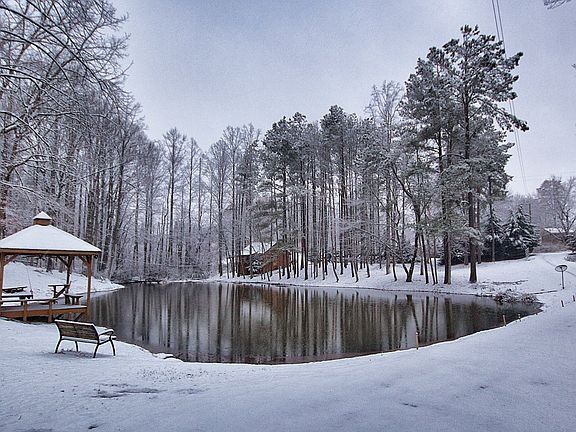 The Pond in the Snow