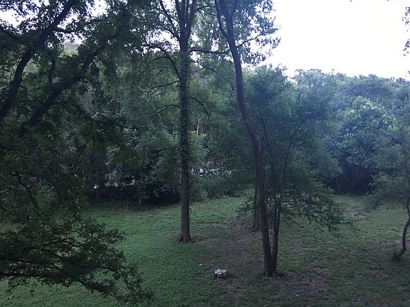 3rd image of 11653 River Oaks Trl